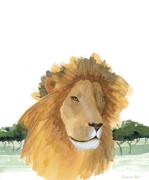 Portrait of a Lion Giclee Art Print